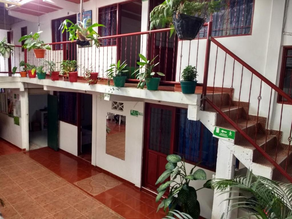 Fotografie z fotogalerie ubytování Hotel El Turista v destinaci San Agustín