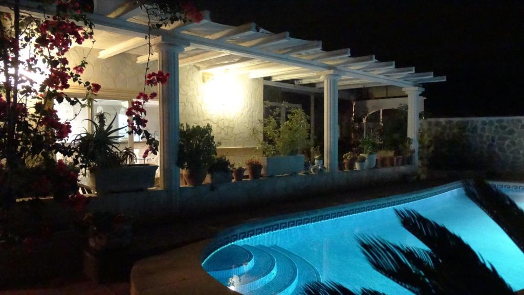 Bazén v ubytování Hostal La Paloma I nebo v jeho okolí