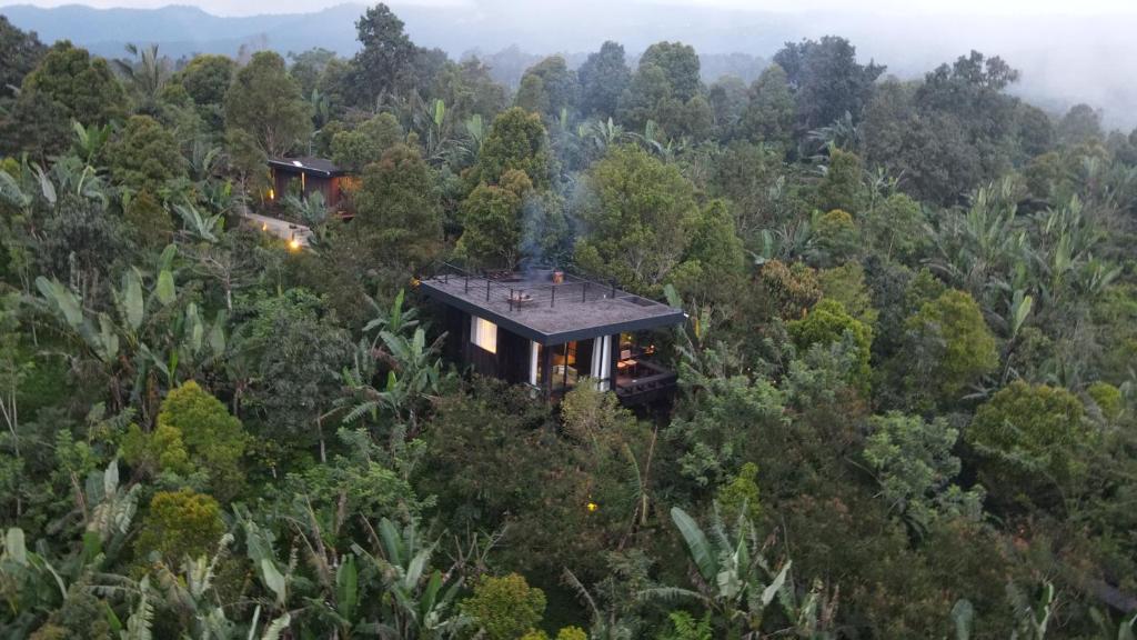 a house in the middle of a forest at The Bataran Studio in Gitgit