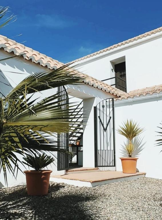 Finca Viva la Vida - Housity