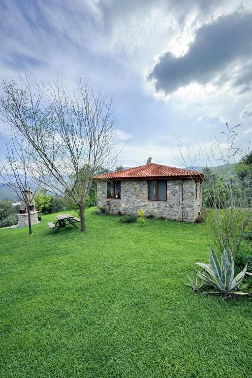 a stone house in a field of grass with a tree at Olympos Stone House in Kumluca