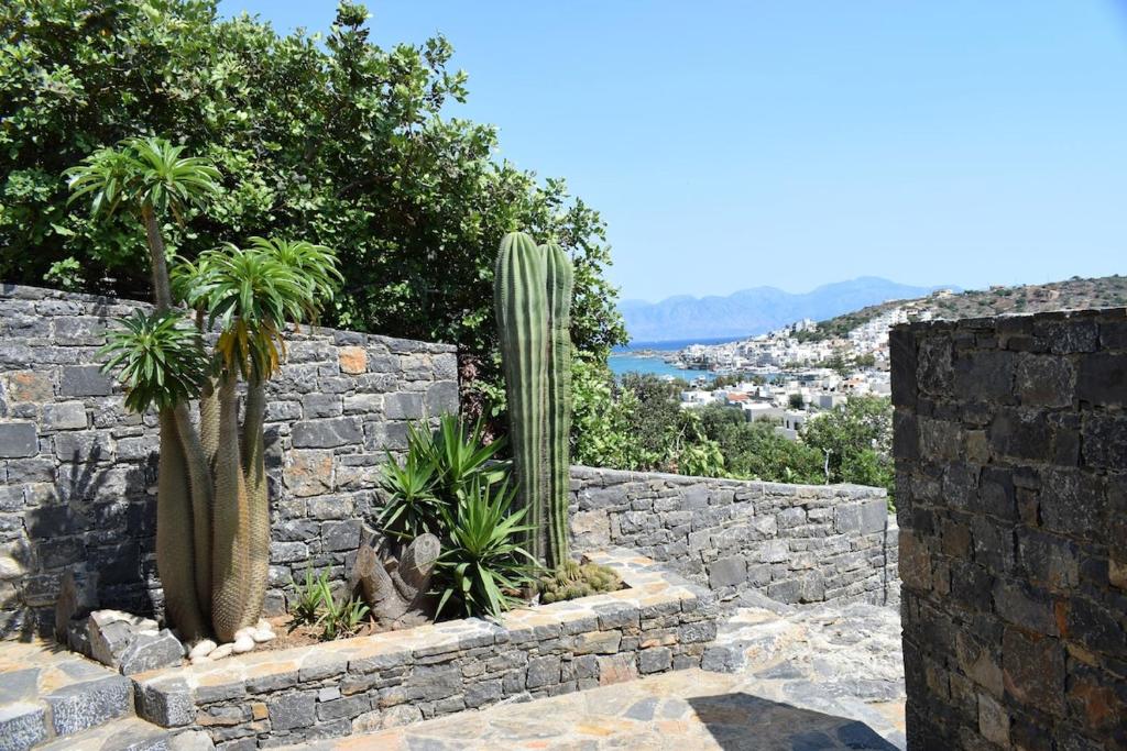 a stone wall with two cactuses in a garden at Olous Secret Hideaway - Sea View Studio Elounda in Elounda