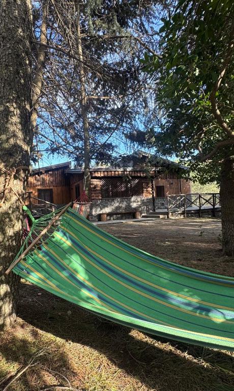 a green hammock tied to a tree in a park at Etna Chalet Nicolosi in Nicolosi