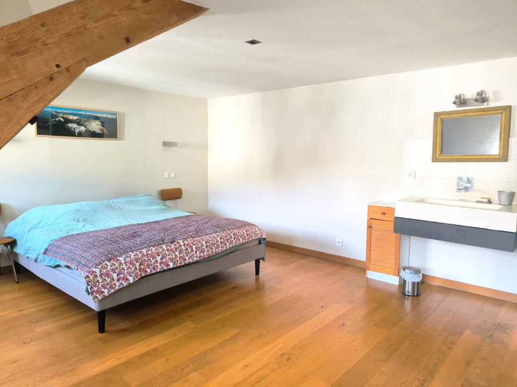 a bedroom with a bed and a sink at Le spacieux - centre ville in Gap
