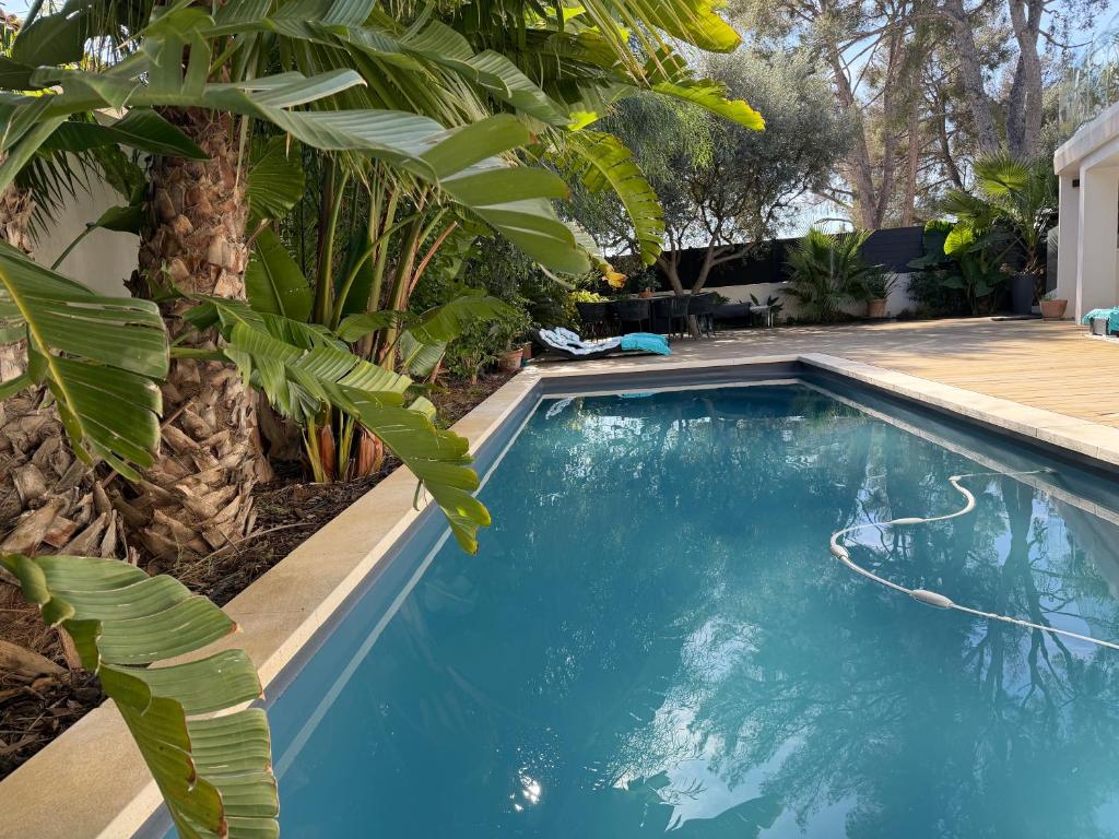 a swimming pool in a yard with a palm tree at Bali 83 in Bandol