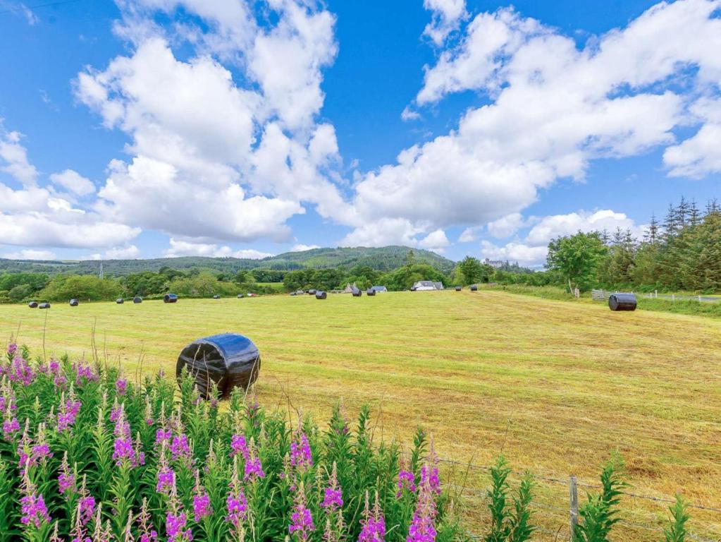 a field with purple flowers in a field with cows at 1 Bed in Ardgay oc-89058 in Culrain