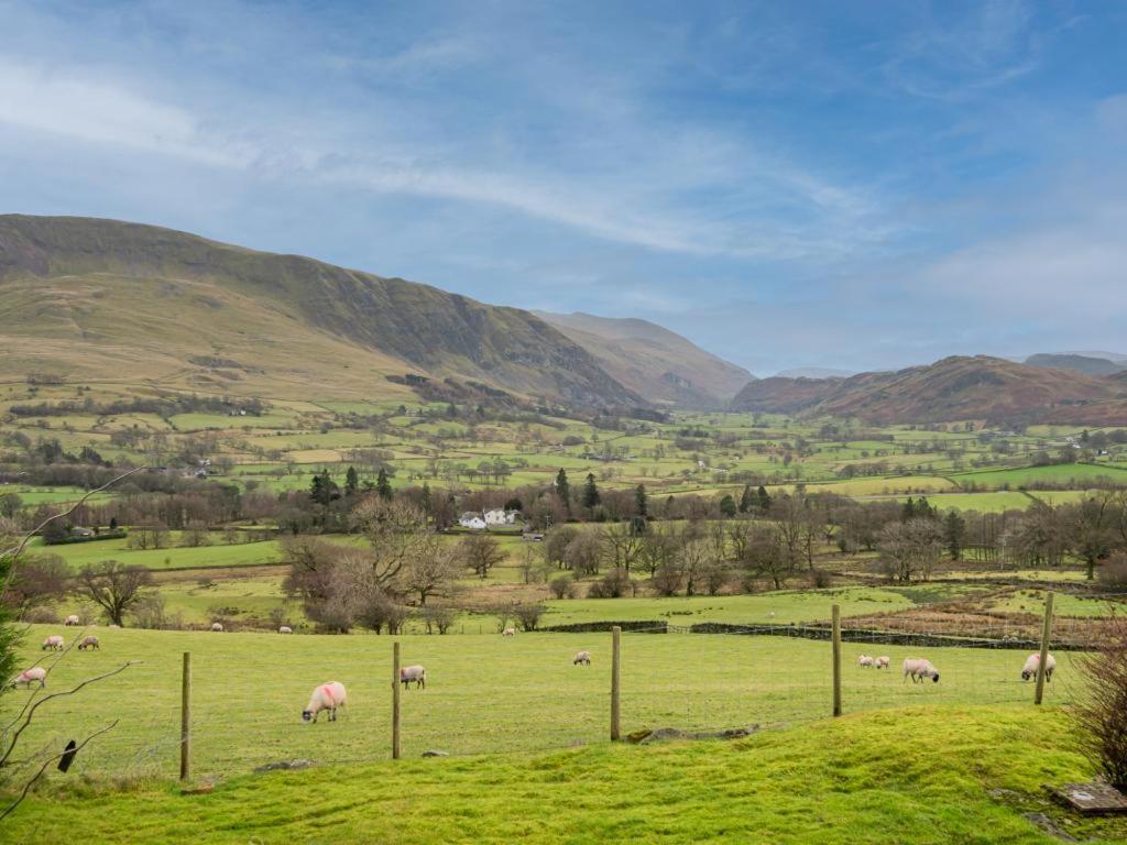 a herd of sheep grazing in a grassy field at 3 Bed in Keswick oc-sz217 in Threlkeld