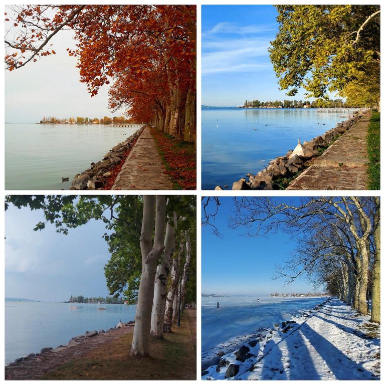 four different views of a lake with trees and water at Keltafok Apartman, Balatonföldvár in Balatonföldvár