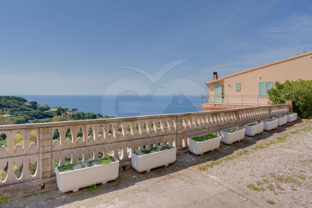 a row of plants in pots on a fence at Villa Flora - Goelba in Capoliveri