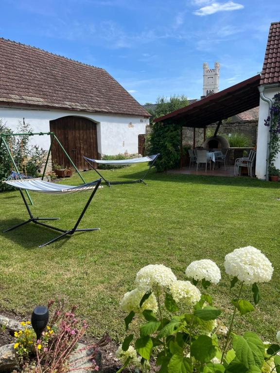 ein Hof mit einer Hängematte und einem Haus in der Unterkunft Apartmány Adéla in Český Rudolec
