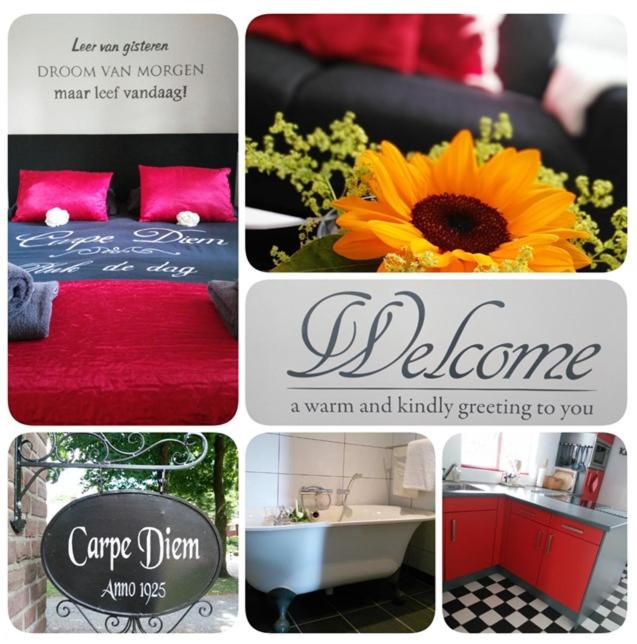 a collage of pictures with a bed and a sunflower at Carpe Diem in Ommen