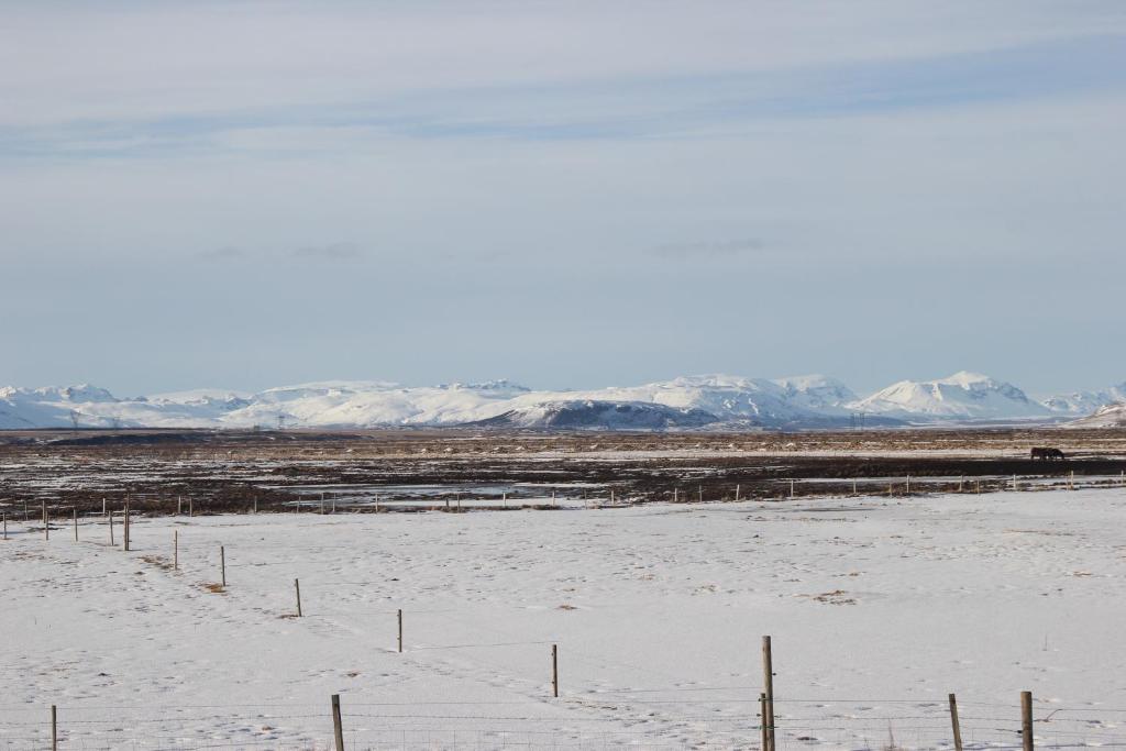 a field with snow and mountains in the background at Svala Guesthouses in Selfoss