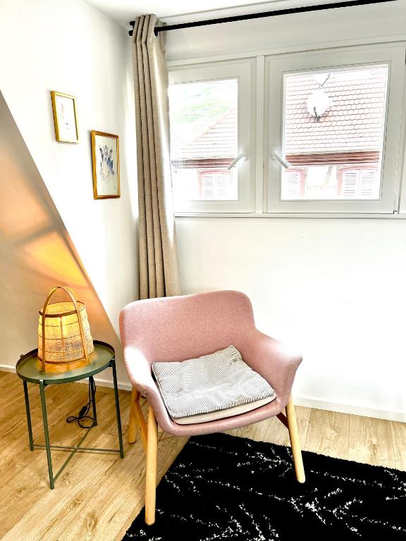 Sous les toits avec garage et terrasse à Ribeauville – photo 23
