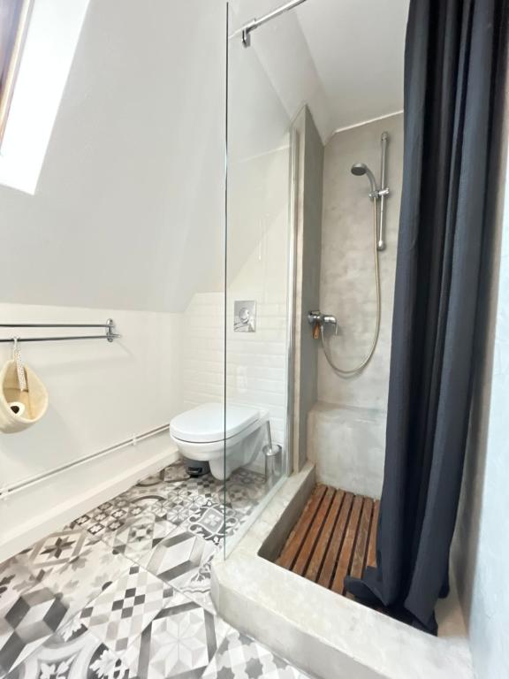 Sous les toits avec garage et terrasse à Ribeauville – photo 8