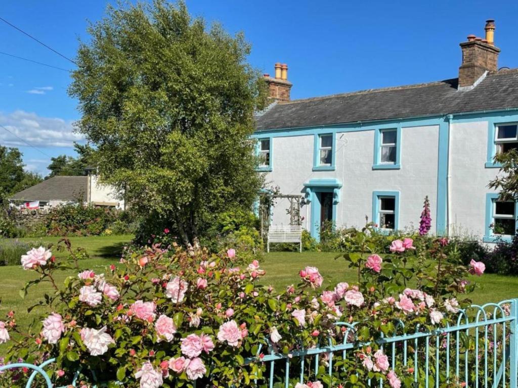 a white house with pink roses in the yard at 4 Bed in Wigton oc-sz384 in Bothel