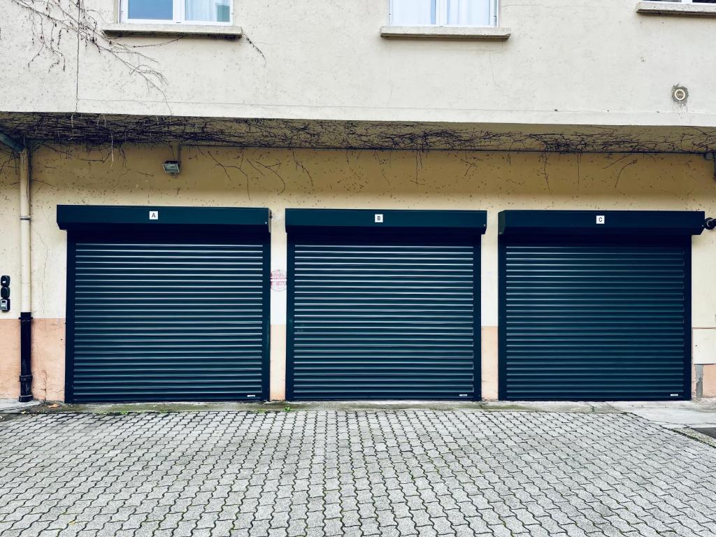 Sous les toits avec garage et terrasse à Ribeauville – photo 11
