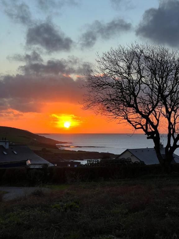 a sunset with a tree in front of the ocean at Seaview Retreat - Sauna & Ice Bath in Clonakilty