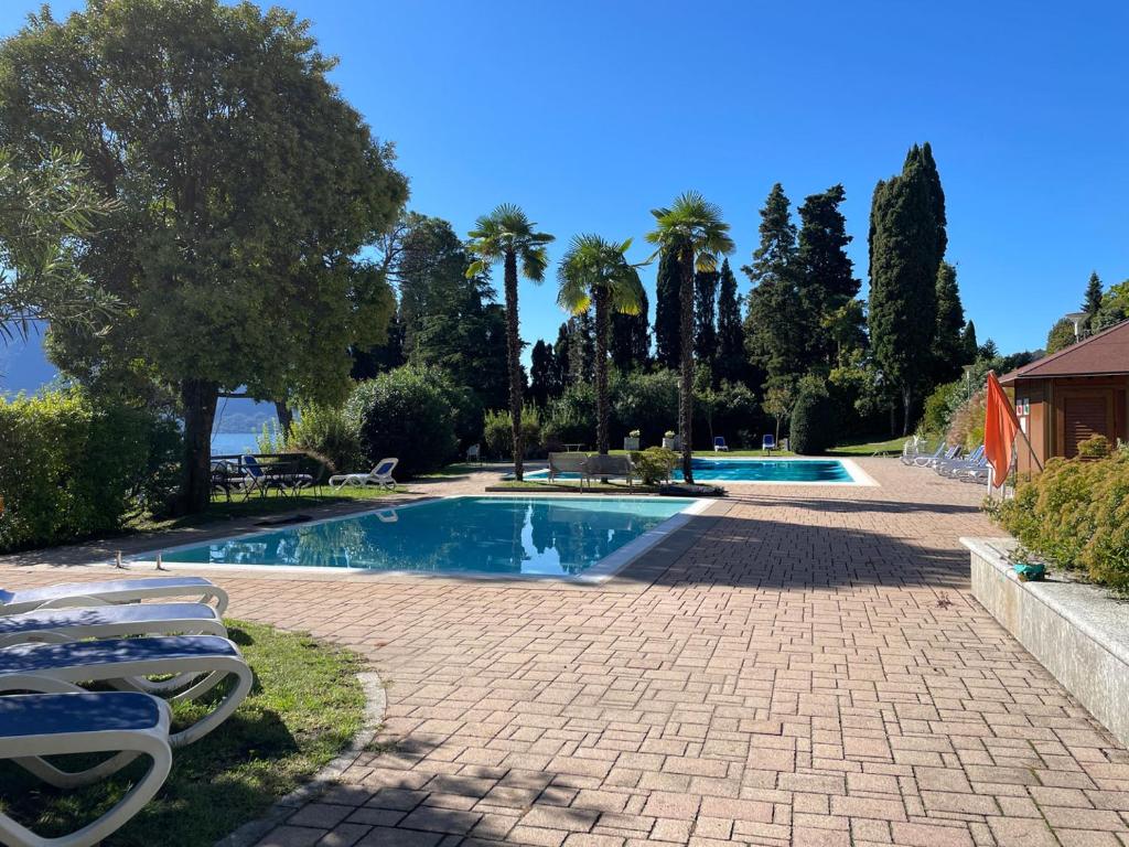 a swimming pool with chairs and palm trees at Appartamento Pascià al Lago in Oggebio