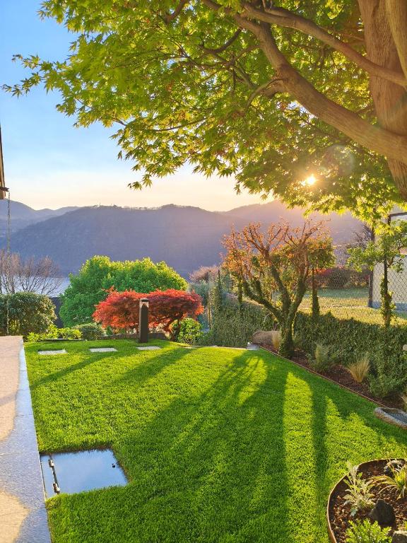 a green lawn with a view of the mountains at Villa Buby in Pettenasco