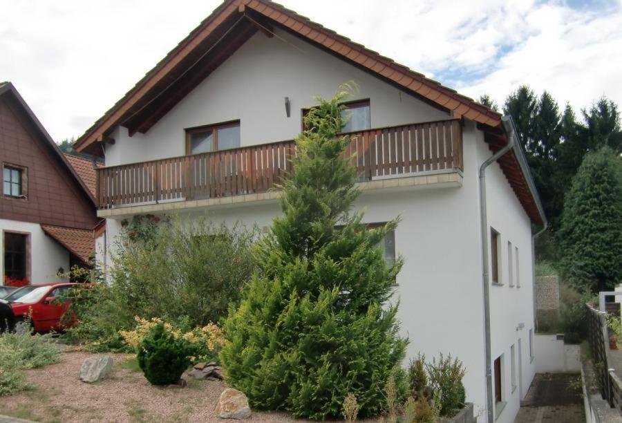a house with a christmas tree in front of it at Ferienwohnung am Stiefel in Sankt Ingbert