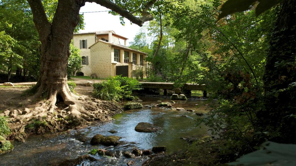 a river in front of a house with a tree at Moulin de Carrière, dans un parc de 2 hectares à Uzès in Uzès
