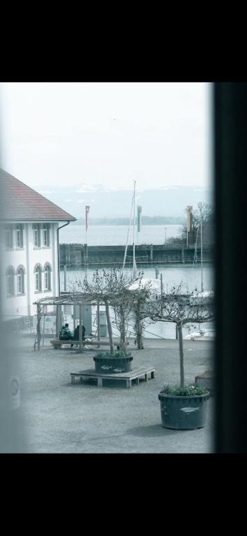 a group of trees sitting in a parking lot at Ferien Wohnung mit Seeblick in Romanshorn