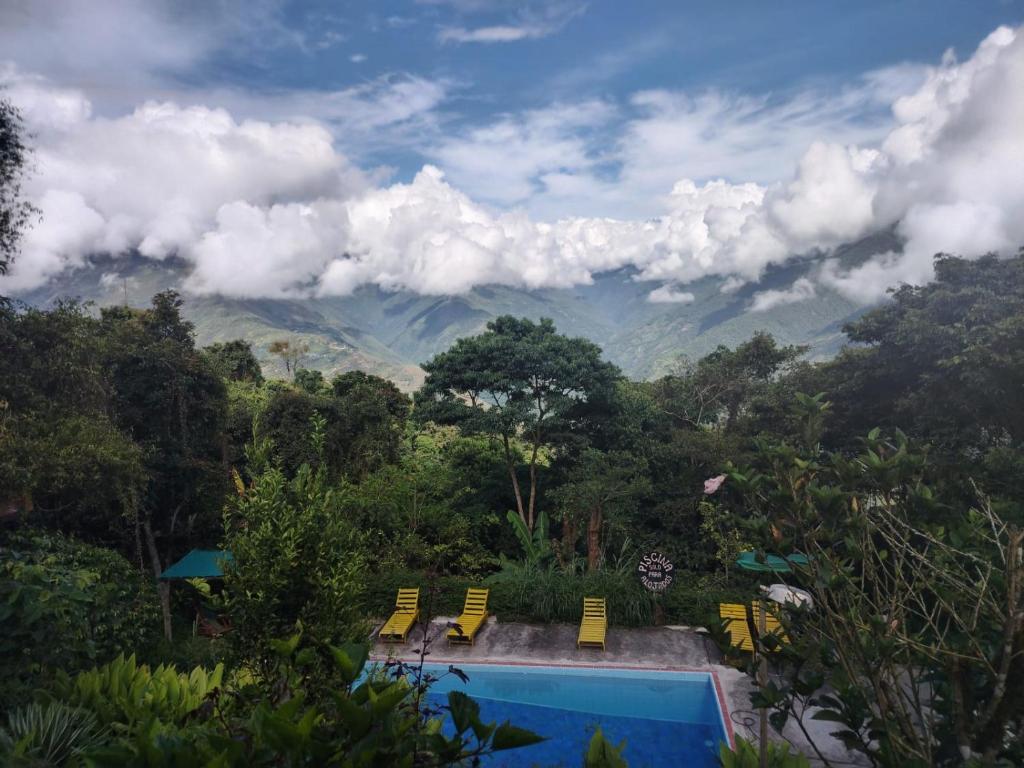 a swimming pool with chairs and a view of a mountain at El Cafetal in Coroico