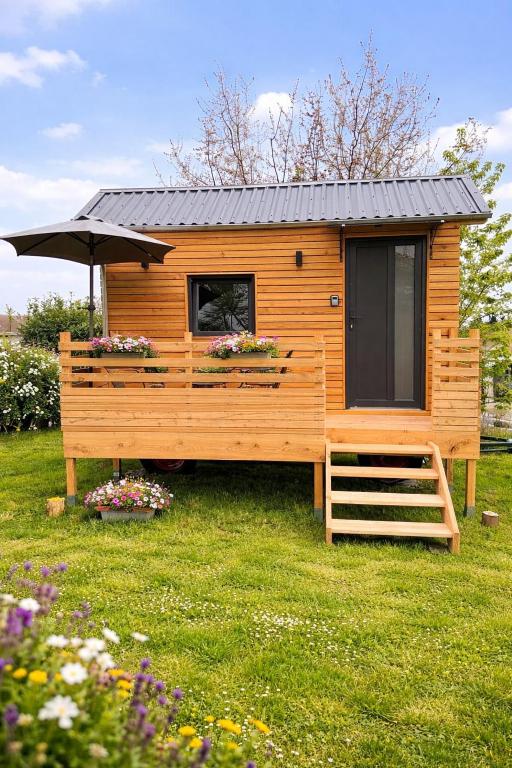 eine Holzhütte mit einem Sonnenschirm im Gras in der Unterkunft Tinydorf-Sinsheim in Sinsheim