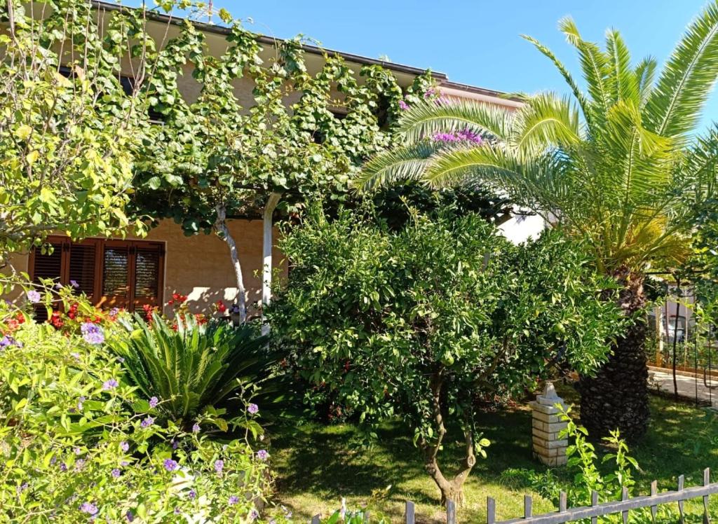 a garden with trees and plants in front of a building at Apartment Vesna in Medulin