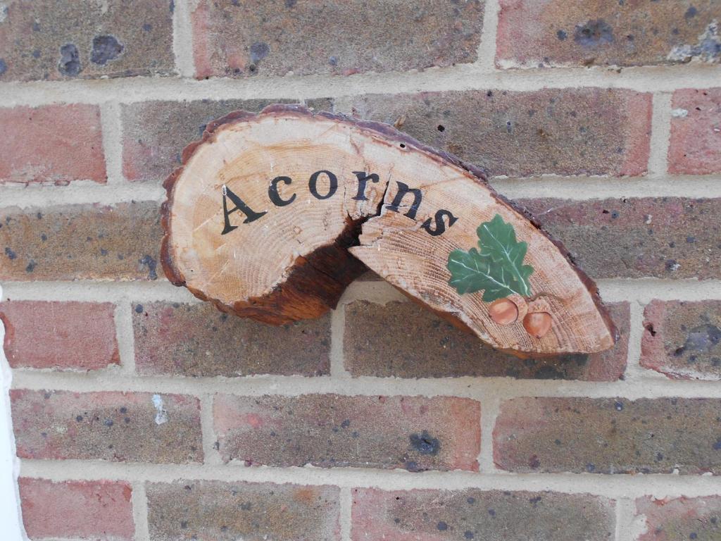 a baseball glove hanging on a brick wall at Acorns in Wavehorne