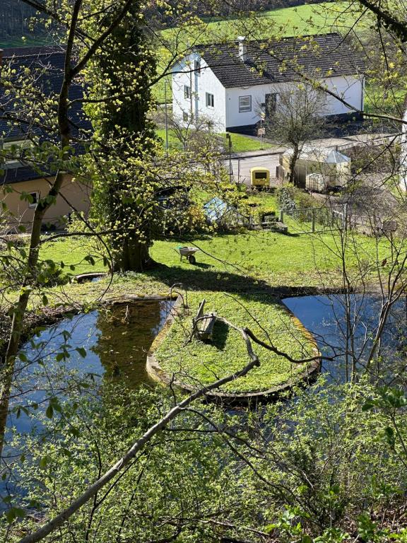 an aerial view of a river with trees and a house at ELMIRA in Memmingen