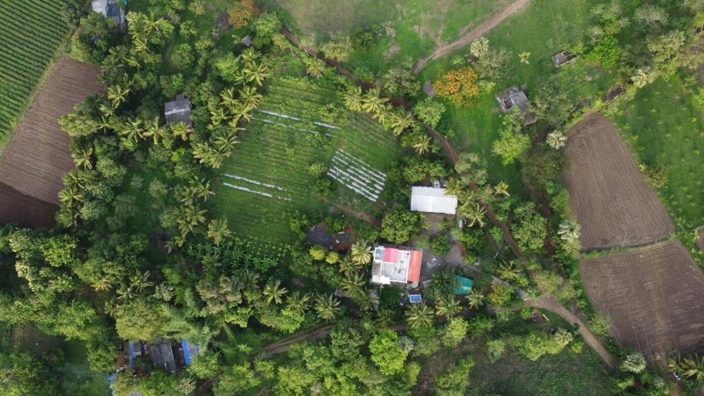 an overhead view of a field with houses and trees at Chandrachhaya Agro Farms Boisar in Boisar