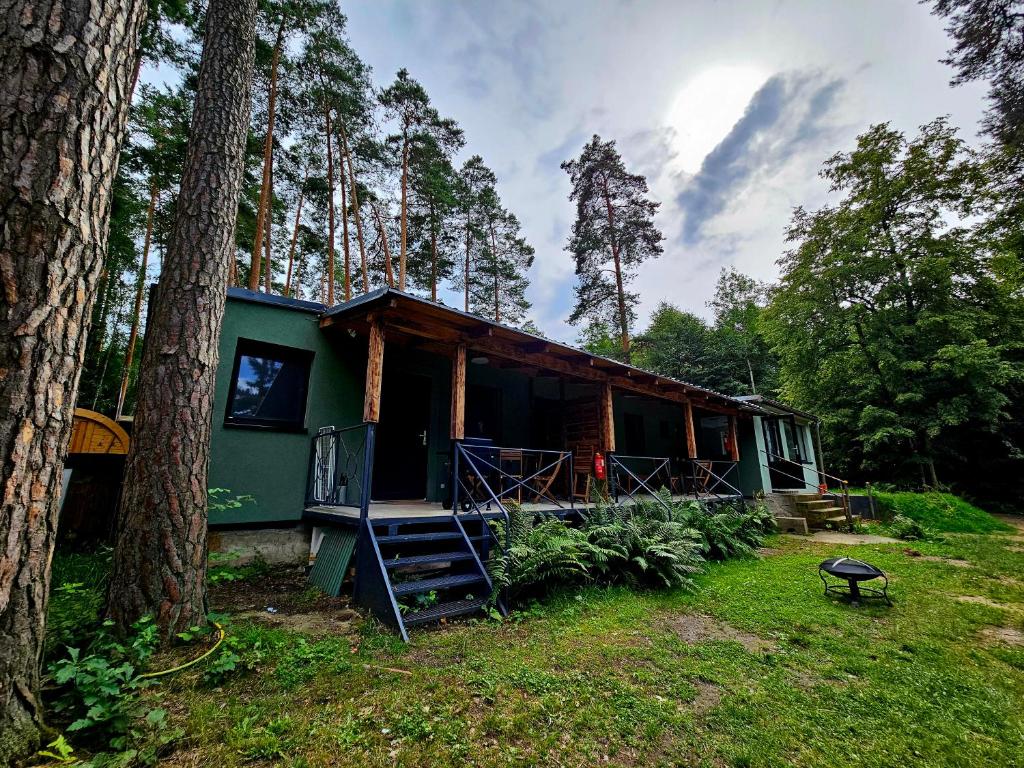 a green cabin in the woods with a tree at Apartmány u Mravence in Starý Petřín