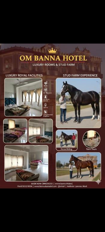 a collage of pictures of a horse on a website at Hotel om banna in BhÄdura