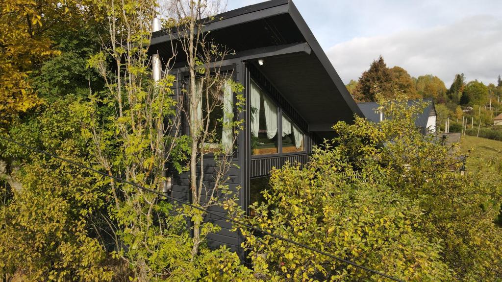 a black house surrounded by trees at Apart Garden з чаном-джакузі in Slavske
