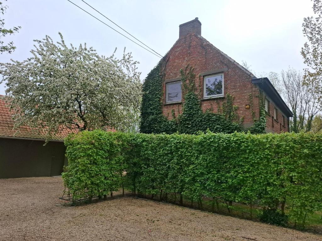 a brick house with a hedge in front of it at Huis aan Puyenbroeck in Wachtebeke