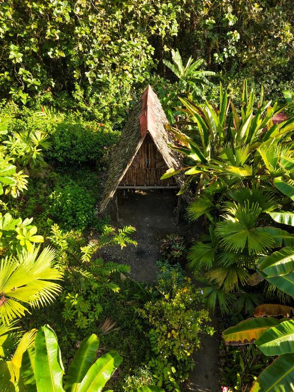 a small house in the middle of a garden at La Aldea del Primitivo in Nuquí