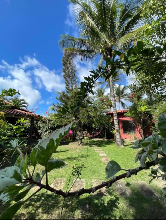 a garden with a palm tree and a house at Casa das Flores in Prado