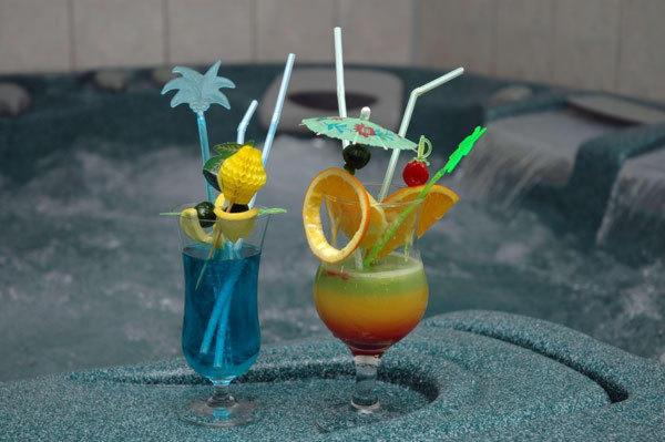 Nápoje v ubytování Alexander Flora Apartment