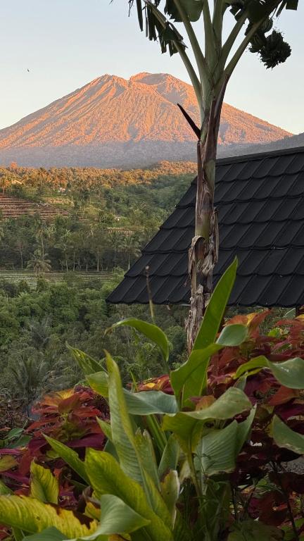 a mountain in the distance with a tree in the foreground at Laa Cabana Lombok Glamping in Sapit