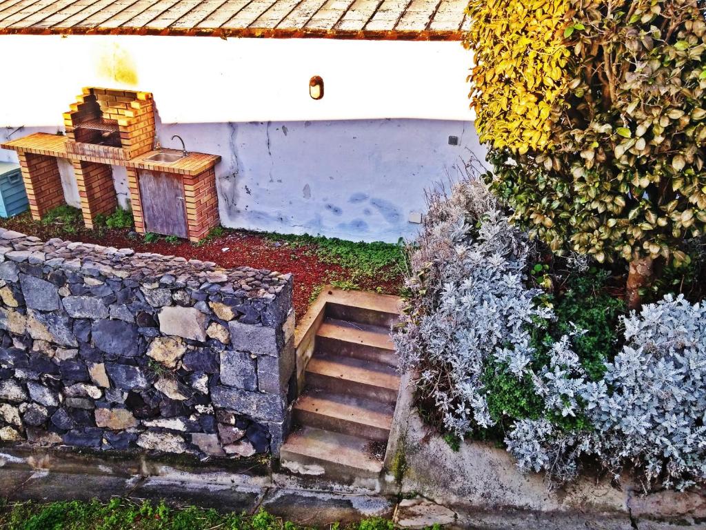 QVA - Quinta Velha das Amoreiras - 9