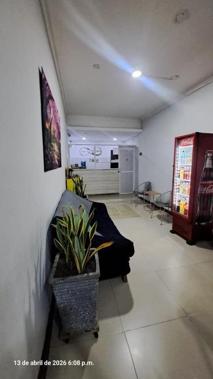 ein Wohnzimmer mit Sofa und Topfpflanze in der Unterkunft Hotel oriente in Maicao
