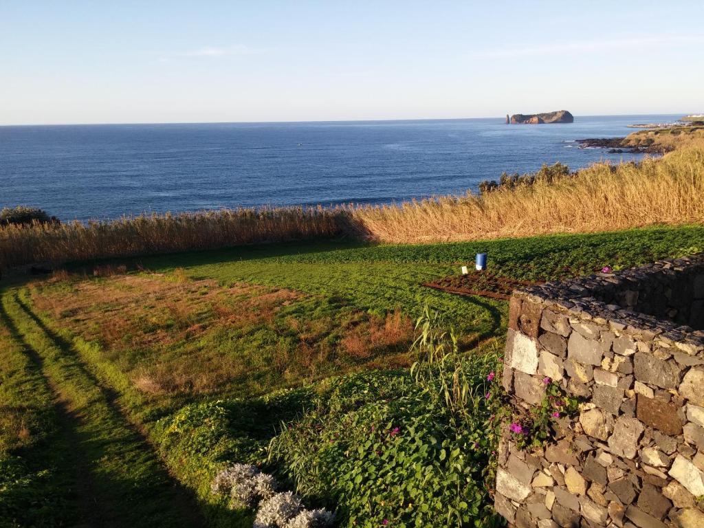 QVA - Quinta Velha das Amoreiras - 10