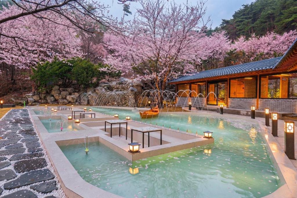 a pool with lights in the water withakura trees at Yeonhwamoon Hotel Yangyang in Yangyang