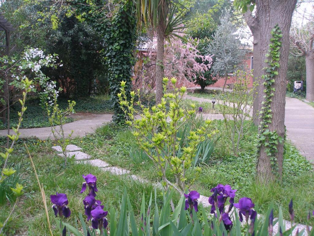un jardín con flores púrpuras en la hierba en La Chaumiere, en Agde