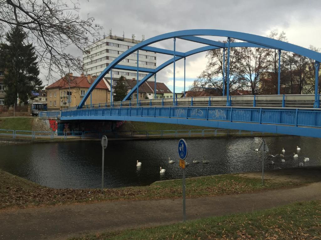 eine blaue Brücke über einen Fluss mit Enten darunter in der Unterkunft Penzion- Leslav in Budweis