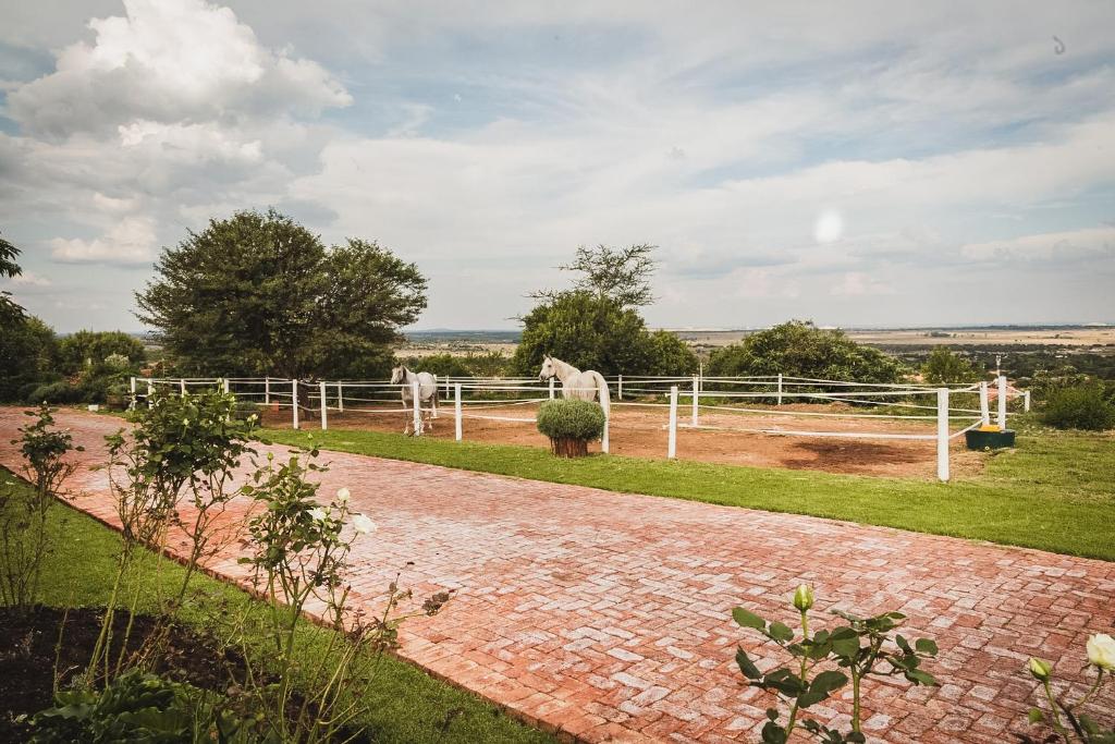 a brick walkway with white horses in a field at Die Kliphuis in Klerksdorp