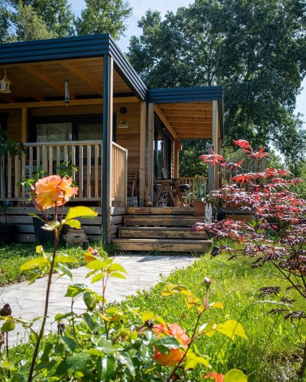 camping toiletten chemie Campingtoilette mobil Chemietoilette + To