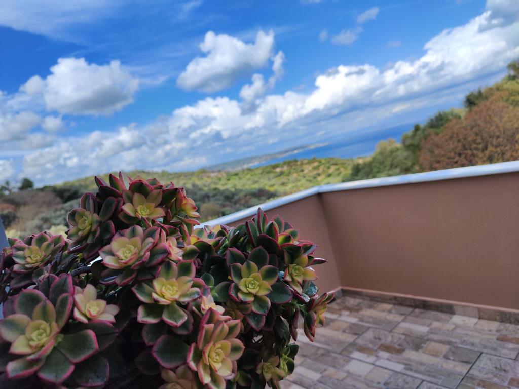 a plant sitting on top of a balcony at Gavrilis apartments II in Nénita