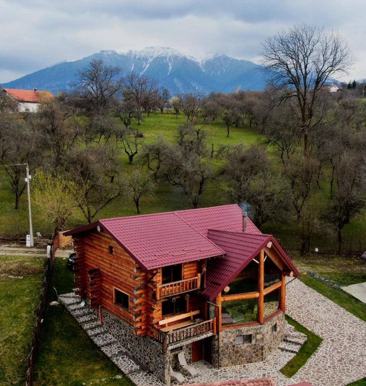 a log cabin with a red roof on top of it at Nomad Escape Bran in Sohodol